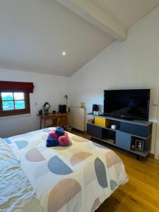 a bedroom with a bed and a flat screen tv at Chambre au calme & salle de bain privée in Divonne-les-Bains