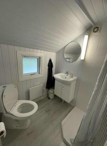 a small bathroom with a toilet and a sink at Feriehytte - Lille Knudsgaard in Løkken +4 photos