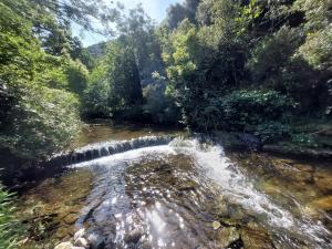 un río con una cascada en medio de un bosque en Au petit hameau Cabrespine, en Cabrespine