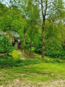 a house in the middle of a field with trees at Promenade dans la Vallée de la Meuse in Blaimont +18 photos