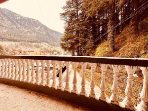 Příroda nedaleko hotelu