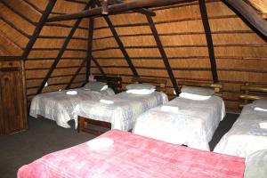a group of four beds in a room at Delion Lodge in Koster