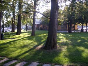 Zahrada ubytování Hotel Lugana Parco Al Lago