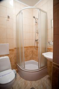 a bathroom with a shower stall and a toilet at Hotel Mars in Lviv