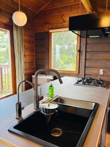 Kuchyň nebo kuchyňský kout v ubytování 海を眺めるログハウス カマカーマAwaji