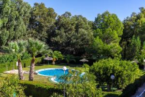 La alberca dentro o cerca de Coral SeaShell by Fidalsa