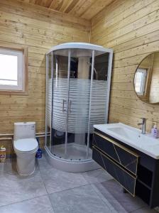 a bathroom with a shower and a toilet and a sink at Bright Terelj Family Camp in Dugang Süme