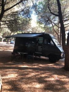 アマドーラにあるFandvanの木の陰に駐車された黒いバン