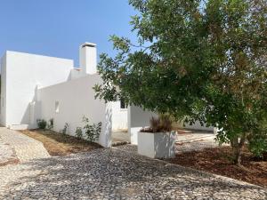 Κήπος έξω από το Quinta da Berlica