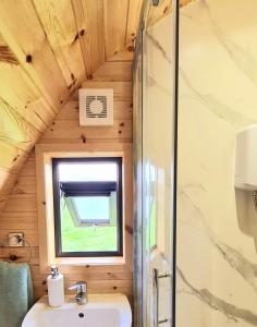 a bathroom with a sink and a shower at Meadow Lane in Sligo