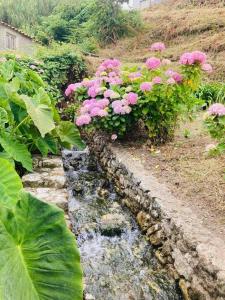 a garden with pink flowers and a stream at Moinho do Avô in Pataias