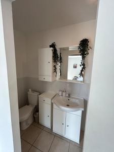 a bathroom with a sink and a toilet at Pont du Gard in Rodilhan