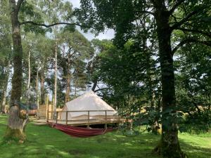 a hammock with a tent in a park with trees at North Lodge Glamping in Carnwath