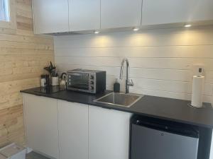 Kuchyň nebo kuchyňský kout v ubytování Micro-Cabin in the Mountains - Solstice 2 + 14 fotografií