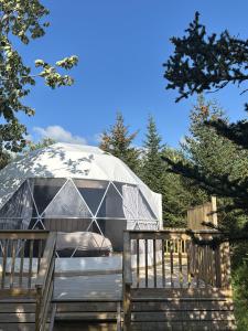 海拉Vesturás lodge的庭院中带木甲板的蒙古包