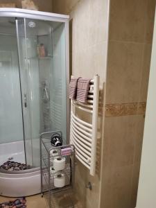 e bagno con doccia, servizi igienici e termoarredo. di Glorious a Kotor (Cattaro)