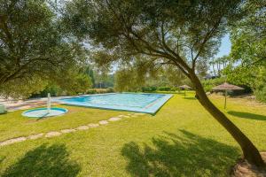 a swimming pool in a yard with a tree at Villa Jasmin 12 in M'diq