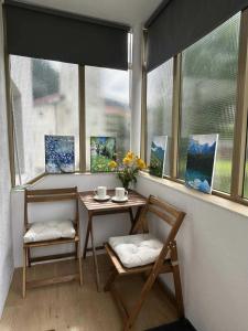 a table and two chairs in a room with windows at Apartment Tonc in Kobarid