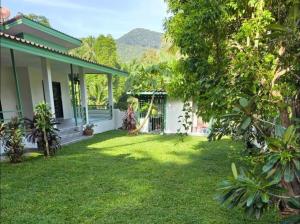 ein Haus mit einem Hof mit Gras und Bäumen in der Unterkunft Stylish Island Villa with Garden in Ko Phangan