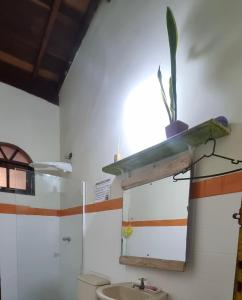 a bathroom with a toilet and a plant on a shelf at Recanto de Gaia in Ilhabela +11 photos