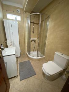 a bathroom with a shower and a toilet and a sink at Cozy 1 Bed Flat in Monte Gordo +13 photos