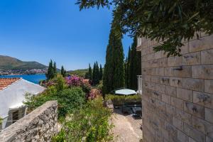 Naturlandskabet i nærheden af lejligheden