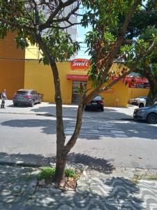 un albero sul lato di una strada con le auto di Nova Casa Studio Mega - Qto1 c Ar - 3 Vagas Garagem - Esp Térreo Priv - WiFi 300 Megas - Home Office a 200 mts Praia da Pompéia a Santos Altre 21 foto