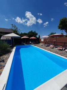 a blue swimming pool with chairs and umbrellas at Guest House Filin in Karolino-Buhaz