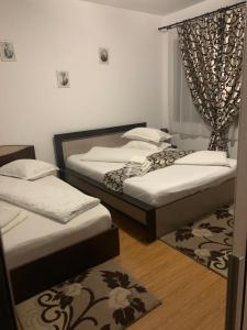 Φωτογραφία από το άλμπουμ του M Dey σε Vişeu de Sus