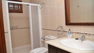 een badkamer met een wastafel, een toilet en een douche bij Apartamento Heliconia 3 in Valle Gran Rey +83 foto's