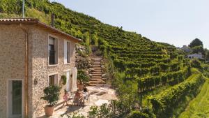 a house on the side of a hill with vines at IL Pollaio in Farra di Soligo