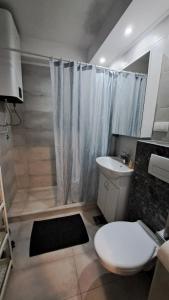 a bathroom with a toilet and a sink and a shower at Vist 2 apartment in Tošin Bunar