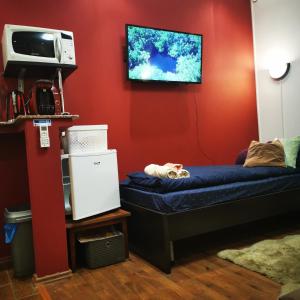 een kamer met een bed en een tv aan de muur bij Fortress Twin Room in Braşov