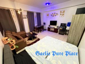 Televisyen dan/atau pusat hiburan di Gaelic Pure Place