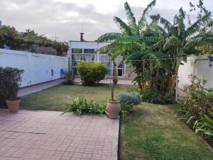 a garden with plants and a brick walkway at Toto in San Juan