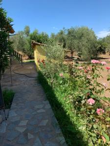 Gallery image of Christinas Home in Amaliás