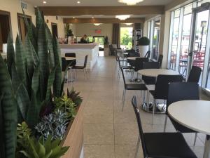 un restaurante con mesas, sillas y plantas en Motel Adam, en Gatineau