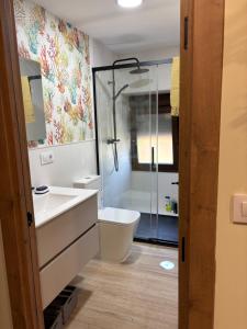 a bathroom with a shower and a sink and a toilet at Casa Condesa in Pontevedra