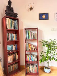 two book shelves filled with books next to a plant at Villa Aroshina with cooking class in Galle