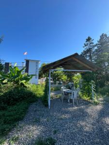 Imagen de la galería de OK Sahli, en Shekhvetili