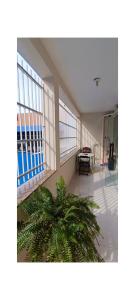 a room with a palm tree in a building at Apartamento - Centro Itapuã - 2Q in Vila Velha