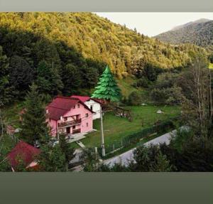 a house with a christmas tree on a hill at Casa Cerbului Moisei in Moisei