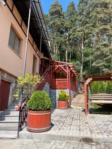 a building with a bench in front of it at Ambrus vendégház in Gheorgheni