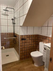 a bathroom with a toilet and a shower at Txatonea 