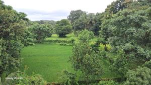an open field in the middle of a forest at Homestay Nandana Full apartment with Kitchenware in Gokarna