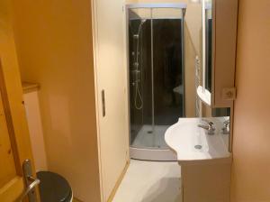 a bathroom with a sink and a shower at Val-locations la paix 7 in Le Mont-Dore