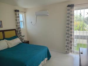 a bedroom with a bed and a window at Alleyne Apartments in Bridgetown