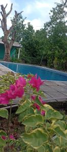 eine Gruppe rosafarbener Blumen vor einem Pool in der Unterkunft Rancho PÔR do Sol in Benevides