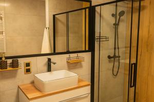 a bathroom with a sink and a shower at Agroturystyka Przy Wodospadzie in Lubrza +19 photos