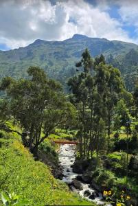 a river in a field with trees and a mountain at Alojate en Mala playa y campo in Mala